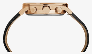 Additional Information - Timex Tw2r71600