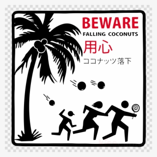 Beware Falling Coconuts Clipart Death By Coconut Tree - Beware Falling Coconuts