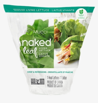 Butter Sleeve New - Mucci Farms Naked Leaf