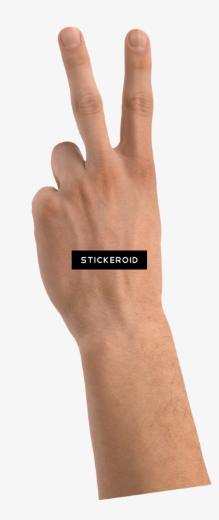 Hands Hand - Sign