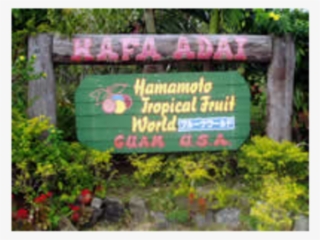 Hamamoto Tropical Fruit World