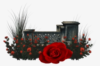 Garden Flower Rose Red Redrose Remixed - Clip Art