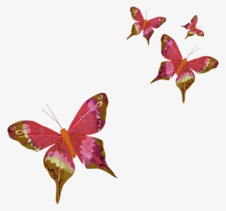 Farfalle Rosse Png - Farfalla In Volo Gif