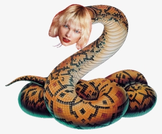 Snake - Snake Png