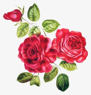 Desafio Adesivo Art Flores Rosas Nature Natureza - Vintage Garden Red Roses