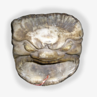Demon Head Mq - Artifact