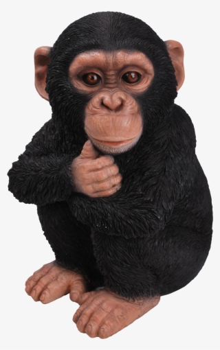Rl Baby Chimpanzee F - Hi-line Gift Ltd Baby Monkey Statue