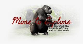 After Dinner Drinks Can Be Enjoyed Around A Communal