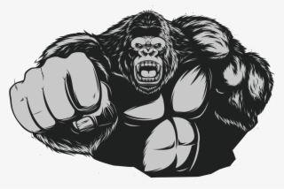 Western Gorilla Chimpanzee Muscle - Gorilla