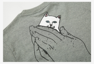 Ripndip