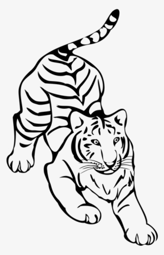 Tiger Png Clipart