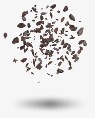 Chocolate Chip