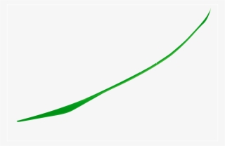 Isleauhaut Hull Lime - Line Art