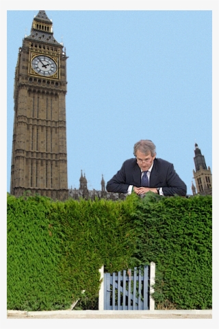 Scaled Westminster Paterson Hedge - Big Ben
