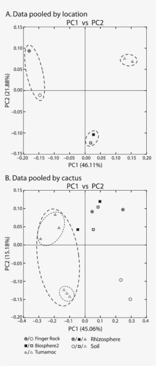 Principal Coordinate Analysis Plots Of Data Pooled - Diagram