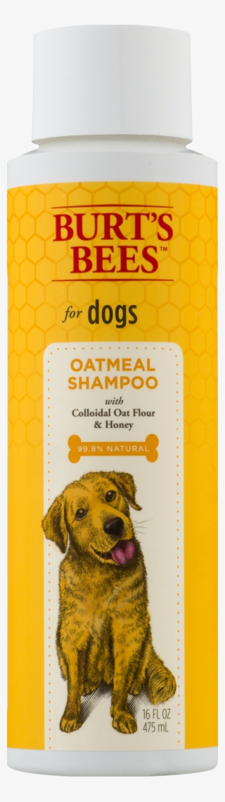 Burts Bees Dog Shampoo