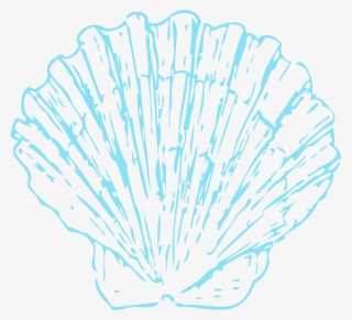 Vector Free Download Seashells Clipart Ombre