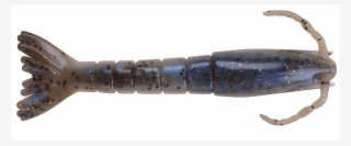 Saltwater Shrimp - 3 Inch Shrimp