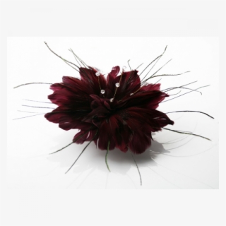 Fascinator