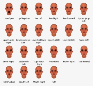 22 Facial Expressions In Binaryvr Sdk - Face Expression Types
