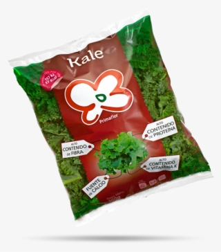 Kale Con Sombra - Curly Kale