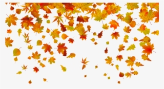 Free Png Transparent Fall Leaves Png Images Transparent - Falling Leaves Gif Transparent