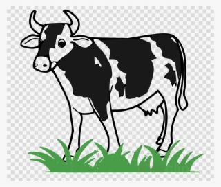 Cow Png Clipart Taurine Cattle Holstein Friesian Cattle - Cattle Cliparts