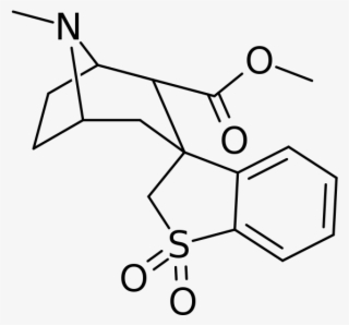 Spirocyclic Cocaine Analog - L Isoproterenol
