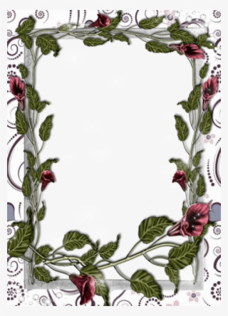 Free Png Transparent White Flowers Frame Png Images - White Flower Frame Transparent