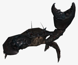 Crab.png
