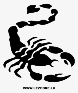 Scorpion Tattoo Magnet