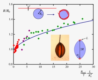 Liquid Droplet Maintained In Levitation In A Bath Of - Liquid