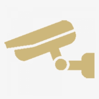 Security Cameras - Closed-circuit Television