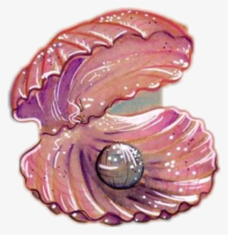 Shell Sea Pearl Seashell Ocean Pink - Tattoo