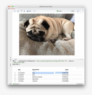 Samuel Wong On Twitter - Twitter
