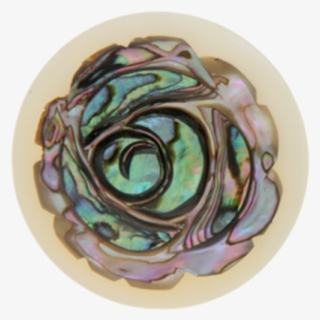 "rose" Abalone Shell Insignia 33mm - Insignia My Imenso 33-0531