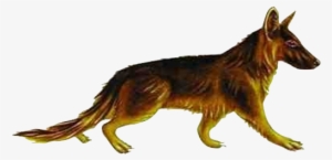 Tomarctus - Tomarctus Dog