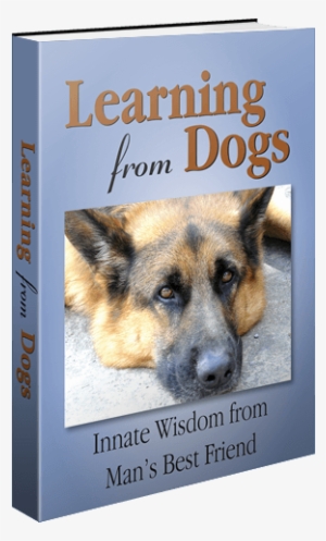 Learning From Dogs - Learning From Dogs: Innate Wisdom From Man's Best Friend