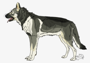 Grey Sable German Shepherd By Furbyprince - Sable German Shepherd Drawing