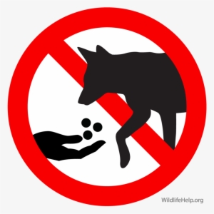 Do Not Feed Dog Clipart Coyote German Shepherd Puppy - Don T Feed Animals