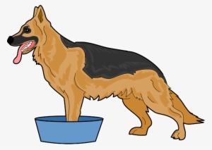 Fill Your Tub, Container Or Sink With Warm Water - Dog Catches Something