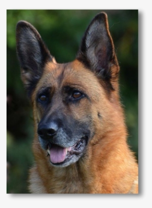 Square Square Square - Square, Inc.