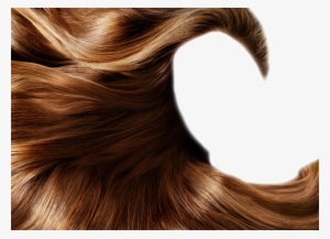 Silkier Than Ever With Pelo Baum Hair Products