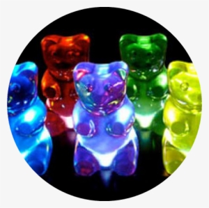 Gummi Bear Night Race Series - Gummy Bear Lamp