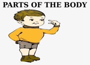 Parts Of The Body Clip Art At Clker Body Clipart Png - Part Of Body Png