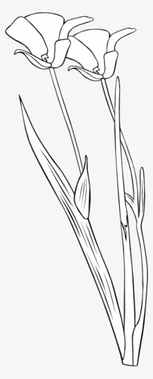 Original Png Clip Art File Plant Flower Outline Svg