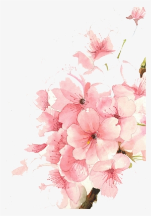 Flowers Watercolor Painting Transprent - Cherry Blossom Watercolor Phone