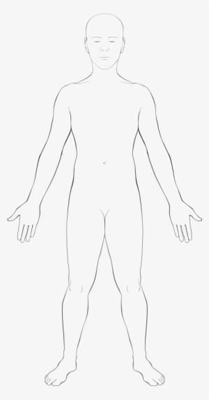 Interactive Body - Sketch