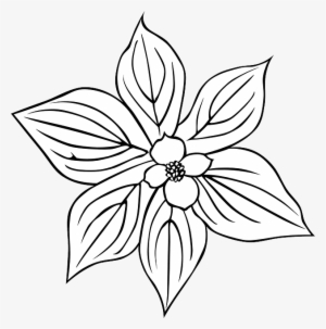 Black, Outline, Plants, Flower, Flowers, Outlines - Outline Of A Flower