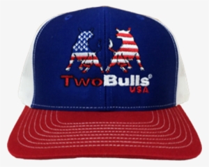 Picture Of Twobulls Mesh Cap - Blue